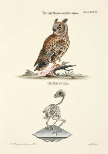  od Johann Daniel Meyer