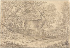  od Johann Elias Ridinger