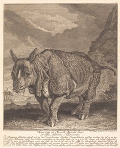 Nosorožec od Johann Elias Ridinger
