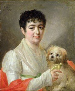 Portrét neznámé ženy, 1809