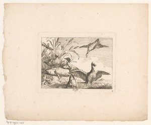 Krajina se šesti kachnami Ptáci v krajině (název série) od Johann Georg Hertel (I) (possibly)