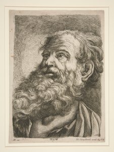 Mužská hlava (apoštola?) od Johann Georg Hertel