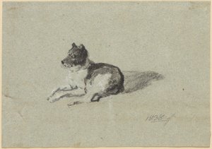 Dvě studie týkající se psů od Johann Georg von Dillis
