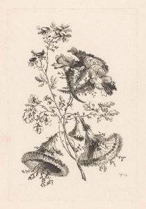 Trojúhelníkové květiny Fleures Baroque (název série)