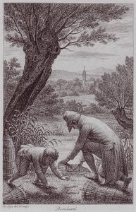 BernhardJHLipsi od Johann Heinrich Lips