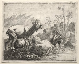 Kozy od Johann Heinrich Roos