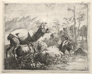Kozy, 1665. od Johann Heinrich Roos