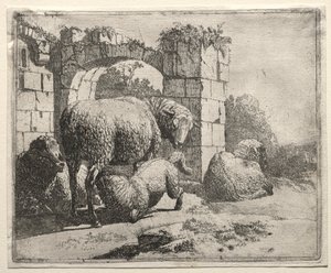 Ovce poblíž zříceniny oblouku, 1665. od Johann Heinrich Roos
