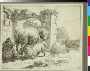 Ovce u zchátralé brány od Johann Heinrich Roos
