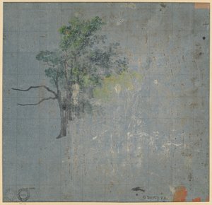 Stromové studie (verze) od Johann Jacob Dorner
