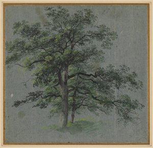 Dva stromy (recto) od Johann Jacob Dorner
