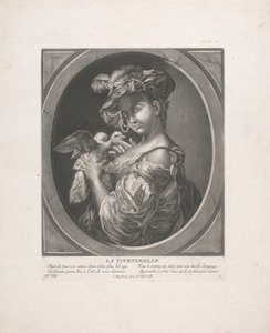 Holubice od Johann Jacobus Haid
