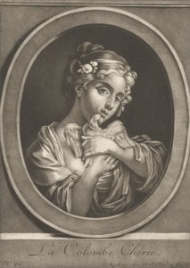 Milá holubice od Johann Jacobus Haid