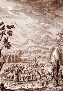 Hebrejci bojující s morem kobylek od Johann Jakob Scheuchzer