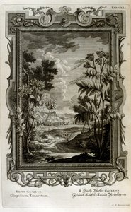 Ilustrace od Johann Jakob Scheuchzer