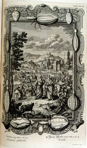 Mor vší a pakomárů od Johann Jakob Scheuchzer
