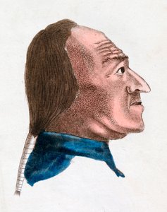 Charakteristiky obličeje rychle temperamentní osoby, 1808