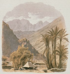 Sinai. Lept od Bernatze et alii - Steinkopk J.F. Editor od Johann Martin Bernatz