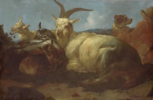 Pasáček koz hlídá svá zvířata od Johann Melchior Roos