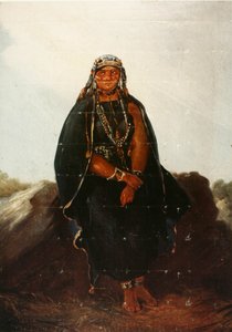 Španělština:  La araucana od Johann Moritz Rugendas