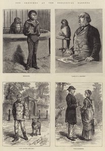 Podivné skici v zoologické zahradě od Johann Nepomuk Schonberg