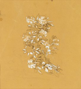 Blumenbouquet od Johann Peter Krafft