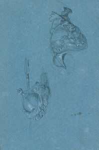 studie helmy od Johann Peter Krafft