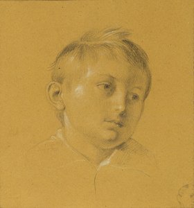 hlava chlapce od Johann Peter Krafft