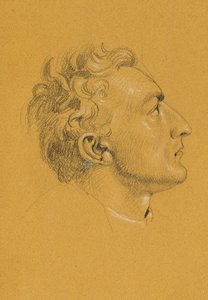Hlavní studium "Návrat císaře Františka z Pressburgu" od Johann Peter Krafft