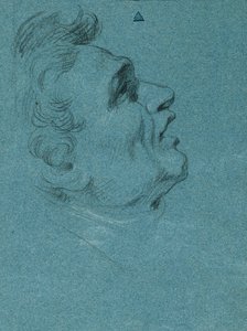 Vedoucí studie pro nástěnné malby v Hofburgu od Johann Peter Krafft