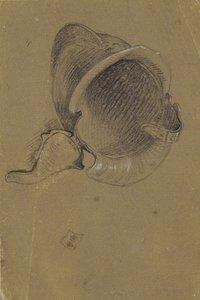 Studie helmy od Johann Peter Krafft