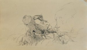 Kořenový systém, padlý strom od Johann Peter Krafft