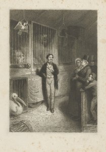 Pozorování zvířat od Johann Wilhelm Kaiser (I)