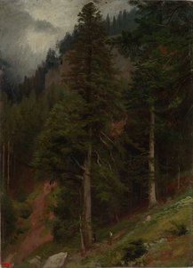 Svah v jedlovém lese od Johann Wilhelm Schirmer