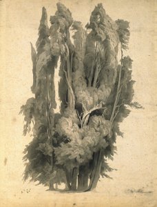 Cypřiše v parku ve Villa d’Este v Tivoli od Johann Wilhelm Schirmer