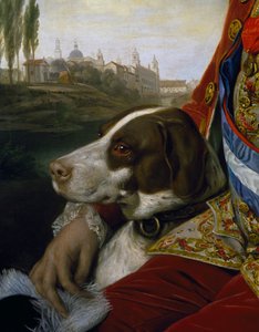 Pes, detail z portrétu Ferdinanda Bourbonského, vévody z Parmy