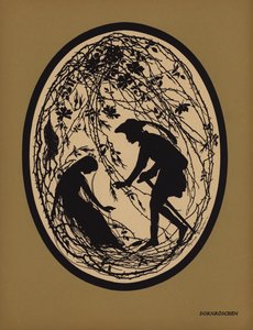 Šípková Růženka (litho)