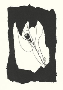 Silueta Johanny Beckmannové (litografie) od Johanna Beckmann