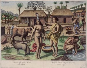 Life in Goa, ilustrace z 