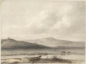 dunová krajina