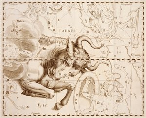 Býk (znamení zvěrokruhu), rytina z Firmamentum Sobiescianum sive Uranographia, Kompletní katalog hvězd, Johann Hevelius (1611-1687), vytištěno v Gdaňsku