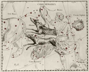 Souhvězdí Canes Venatici, Lovečtí psi. Talíř nakreslený z "" Firmamentum Sobiescanum sive Uranographia"" od Johannese Hevelia nebo Hevela (1611-1687) od Johannes Hevelius