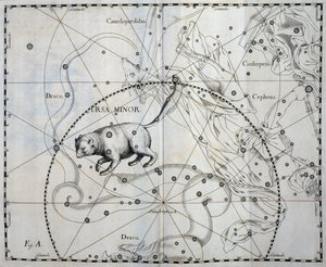 Ursa Minor, Boreaalinen Pienjärven tähdistö, kaiverrus taivaan atlassta Firmamentum Sobiescianum sive Uronographia, kirjoittanut Johann Hevelius (1611-1687), Gdansk od Johannes Hevelius
