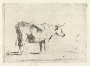 Kráva, vpravo od Johannes Janson (possibly)