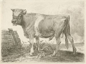 Stezky od Johannes Mock