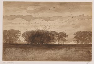 Rookery v Severním Brabantsku