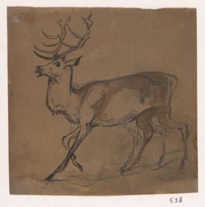 Hert od Johannes Tavenraat