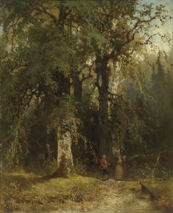 Pohled v lese