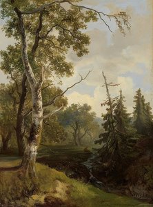 Waldstück bei Wolfheze (výhled na les u Wolfheze)