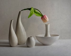 Vázy s jemně růžovými tulipány od John-Mei Zhong